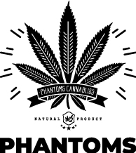 Phantoms